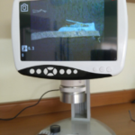 Estereoscópio com Zoom